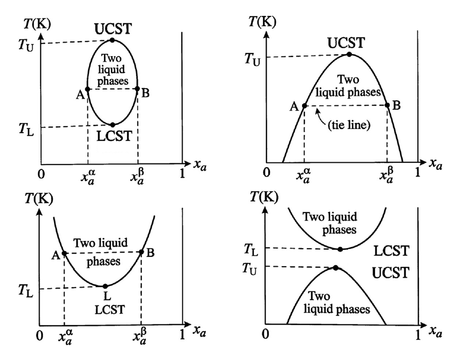 Phase Equilibrium