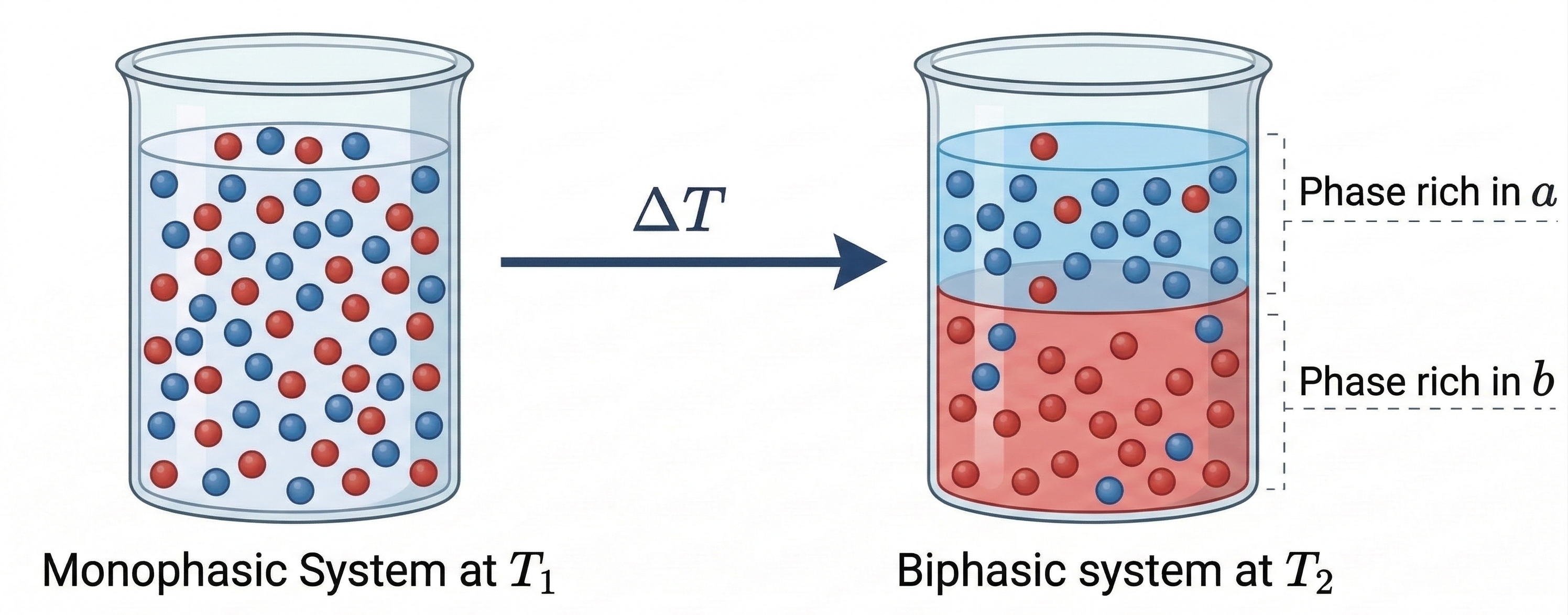 Phase Equilibrium